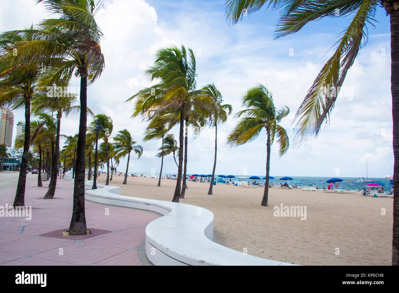 View of the palm trees, ocean and famous Fort Lauderdale promenade
