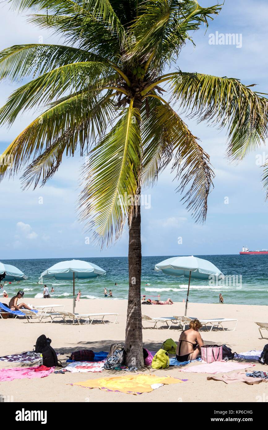 View of the palm trees, ocean and famous Fort Lauderdale promenade