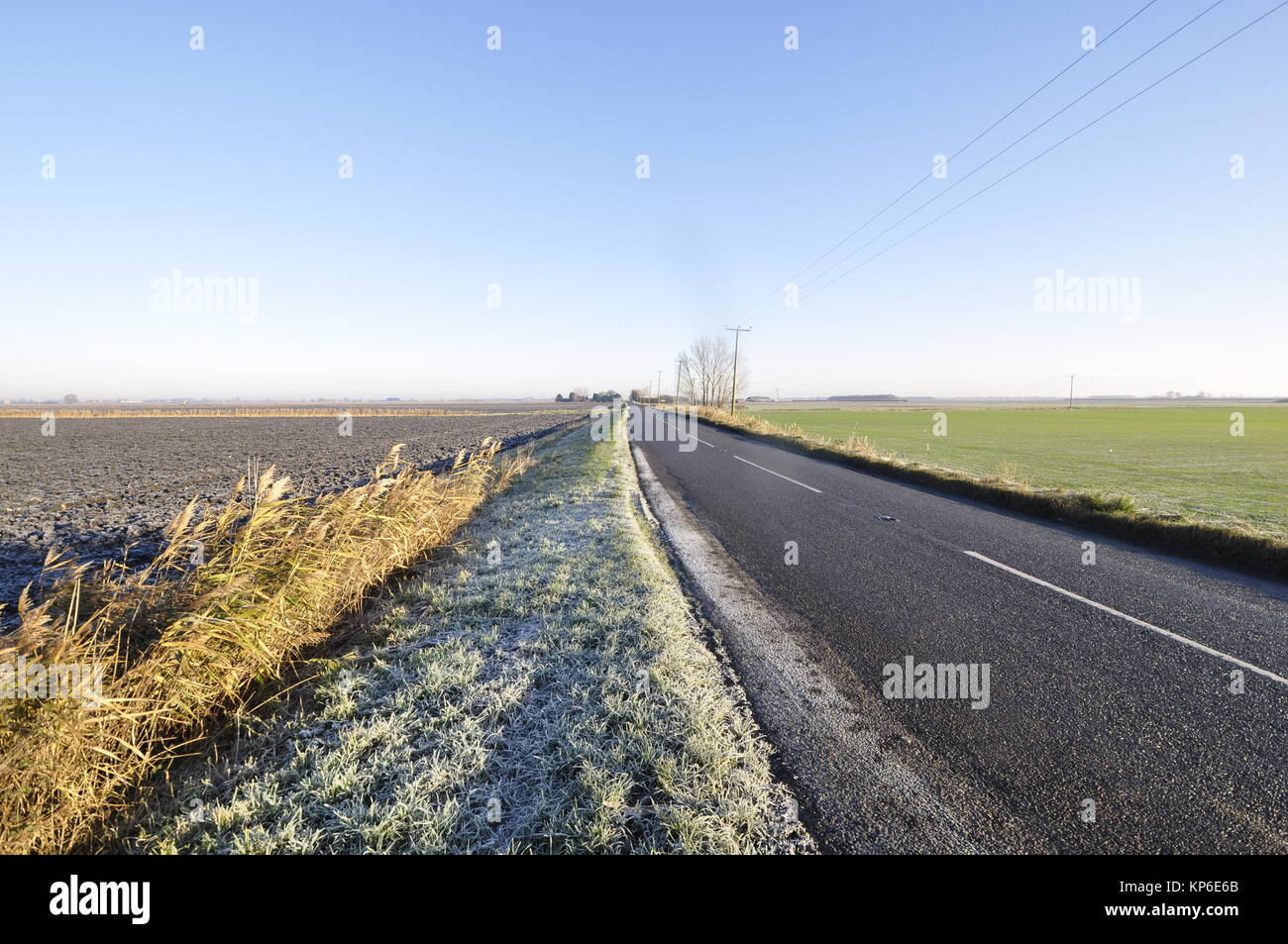 looking north-east from OS grid 492922 across Cranmore Lots, north-east of Manea, Cambridgeshire fens, England. Stock Photo