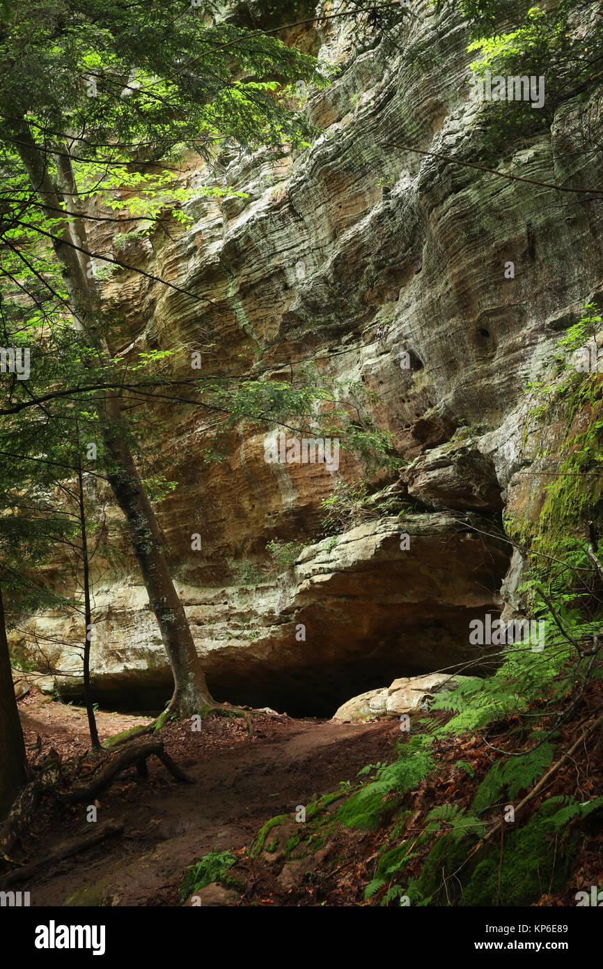 Sandstone cliffs along the Whispering Cave Trail, Hocking Hills State