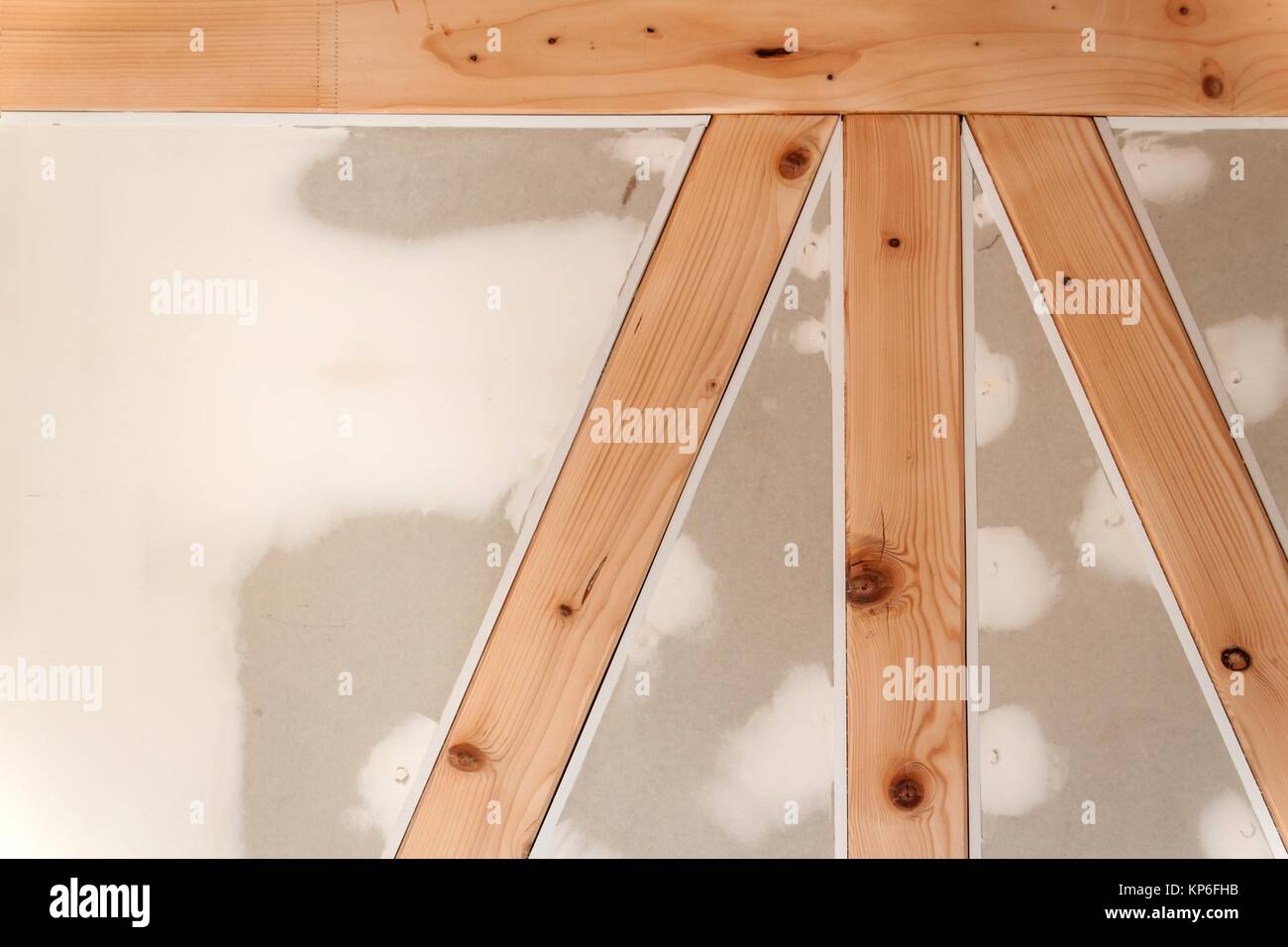 Gypsum plasterboard on the woodwind wall. Construction of a family