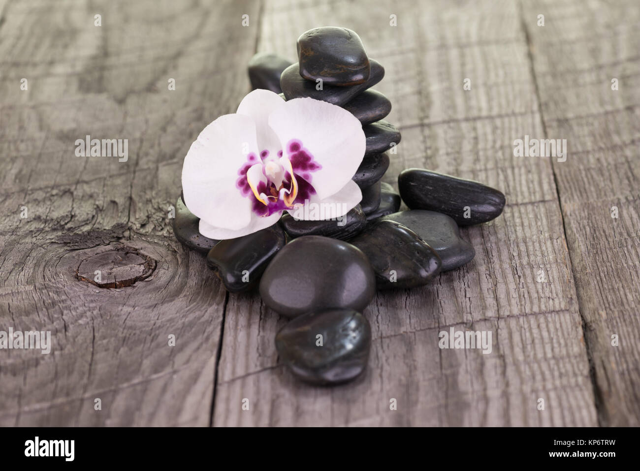 White Phalaenopsis orchid and black stones on wooden background Stock Photo