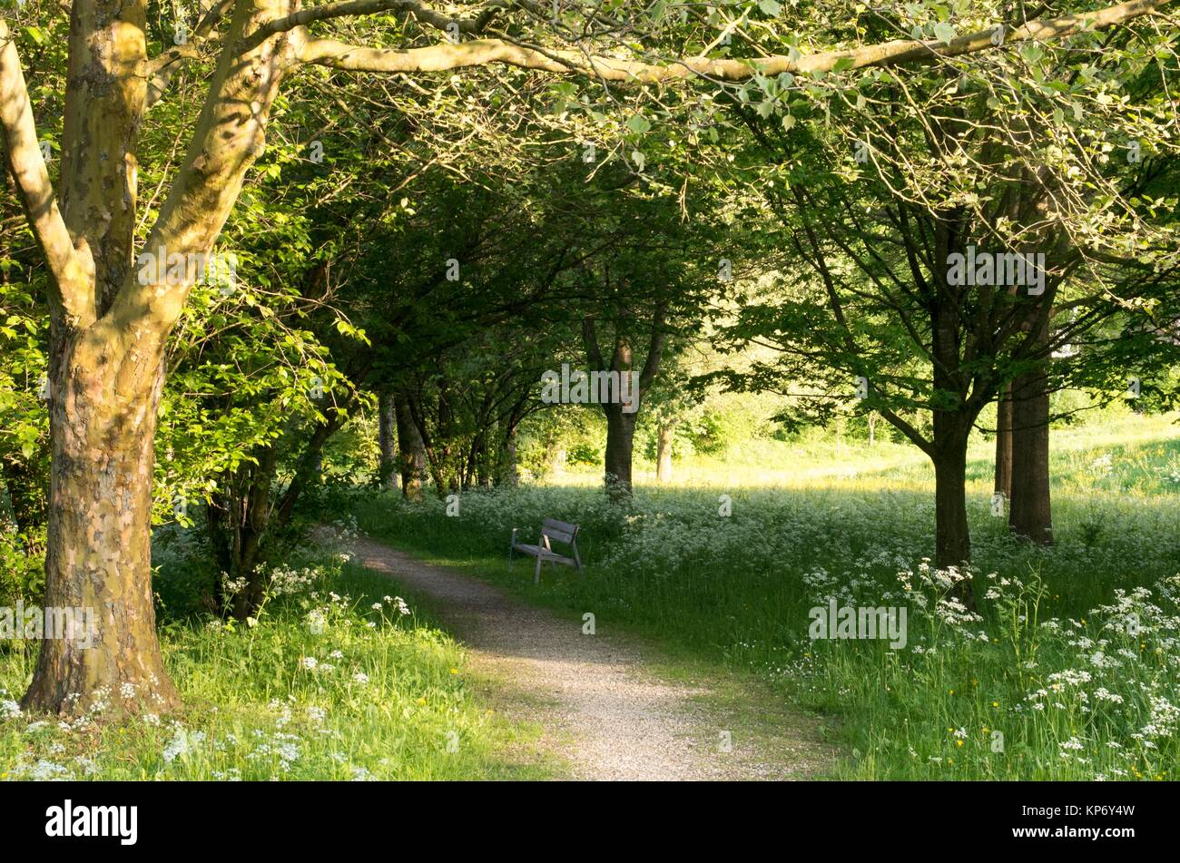 Botanica Park Recreational Area in Spring, Bad Schallerbach, Austria Stock Photo