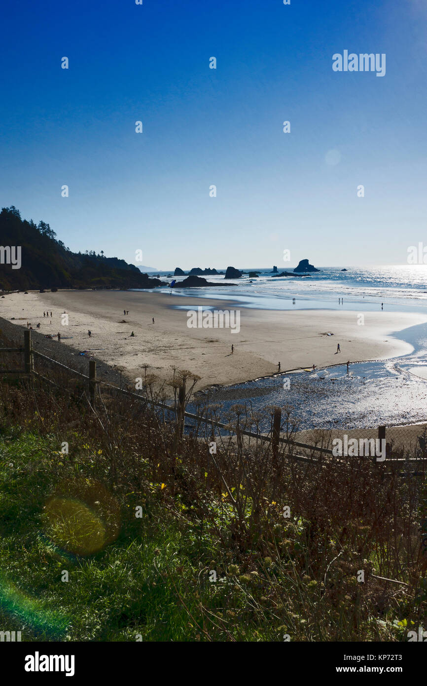 Oregon Coast Stock Photo