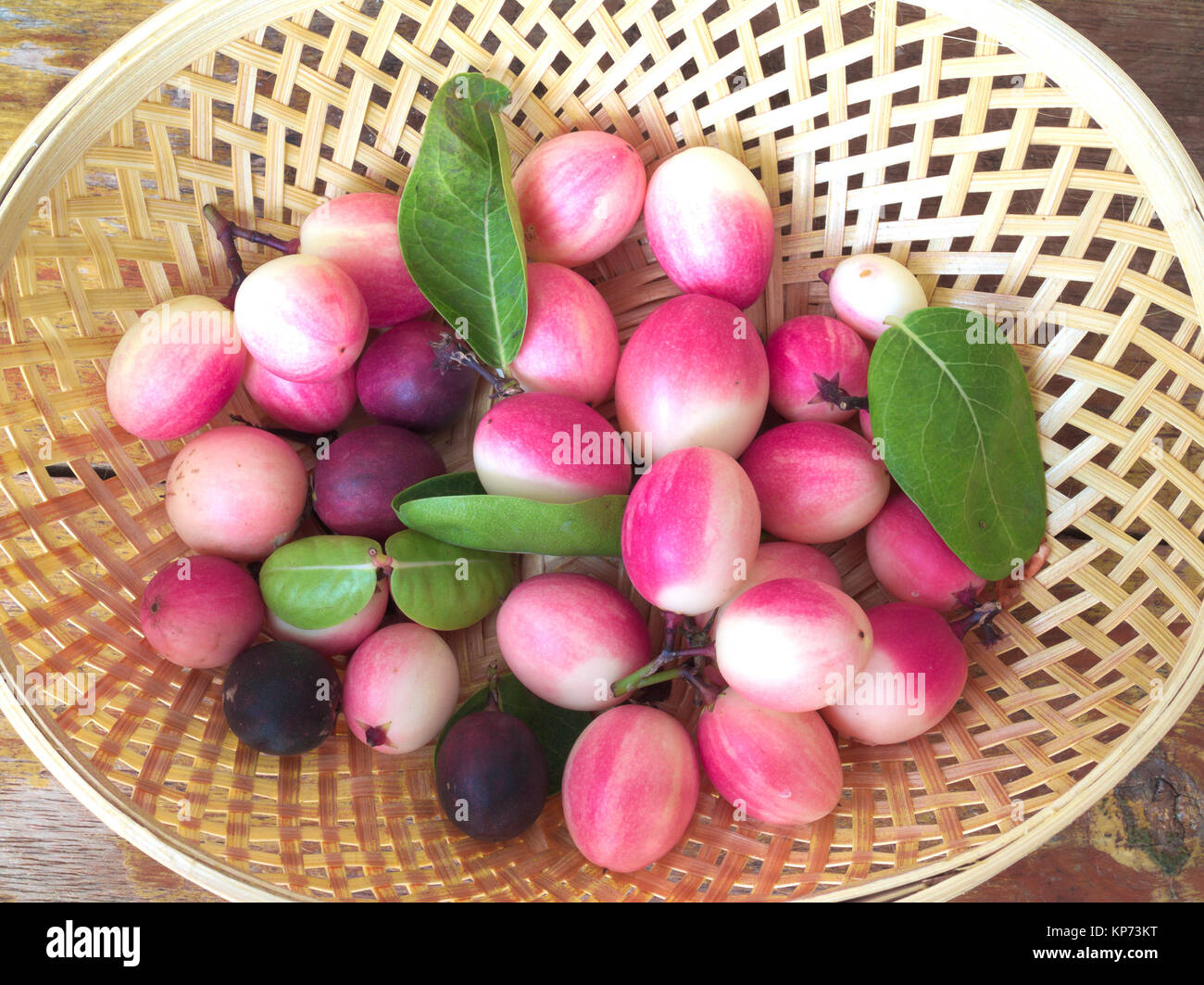 Bengal Currant or Karanda, Carunda ,Fruit is healthy. Stock Photo
