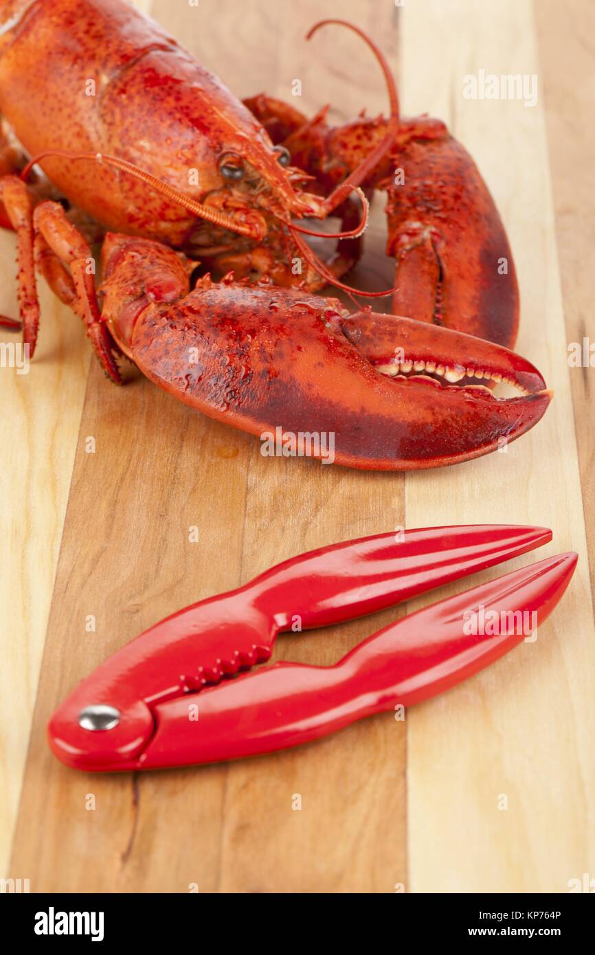cooked lobster on wooden board with lobster cracker Stock Photo