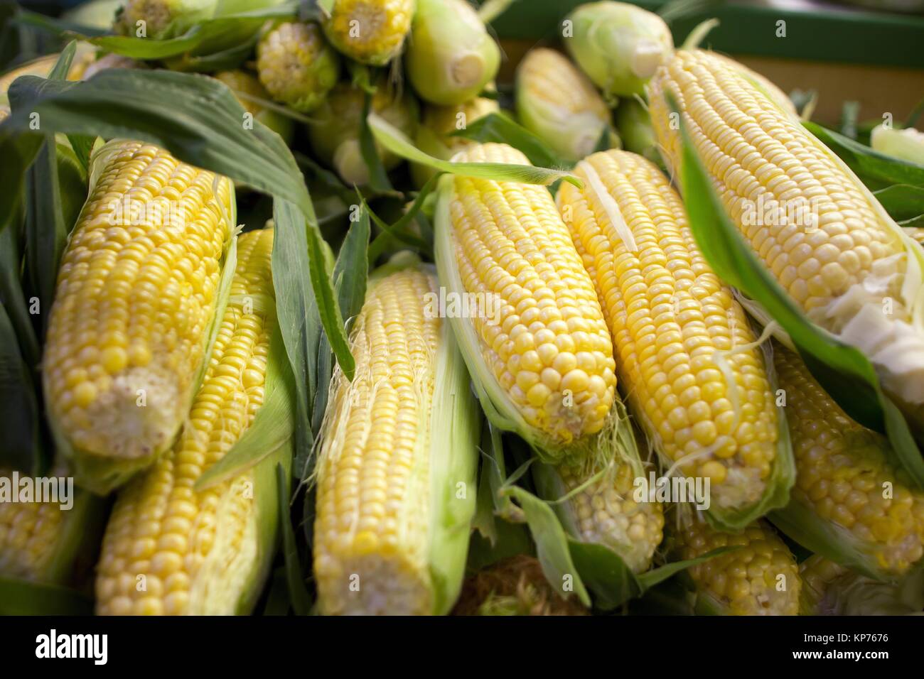 corn cob for sale Stock Photo Alamy