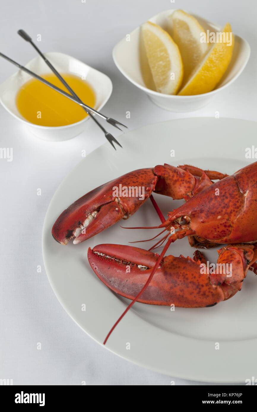 delicious lobster in plate Stock Photo