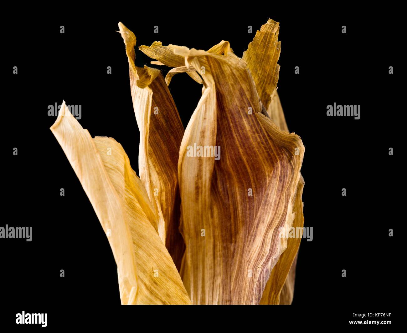 dried corn husk Stock Photo Alamy