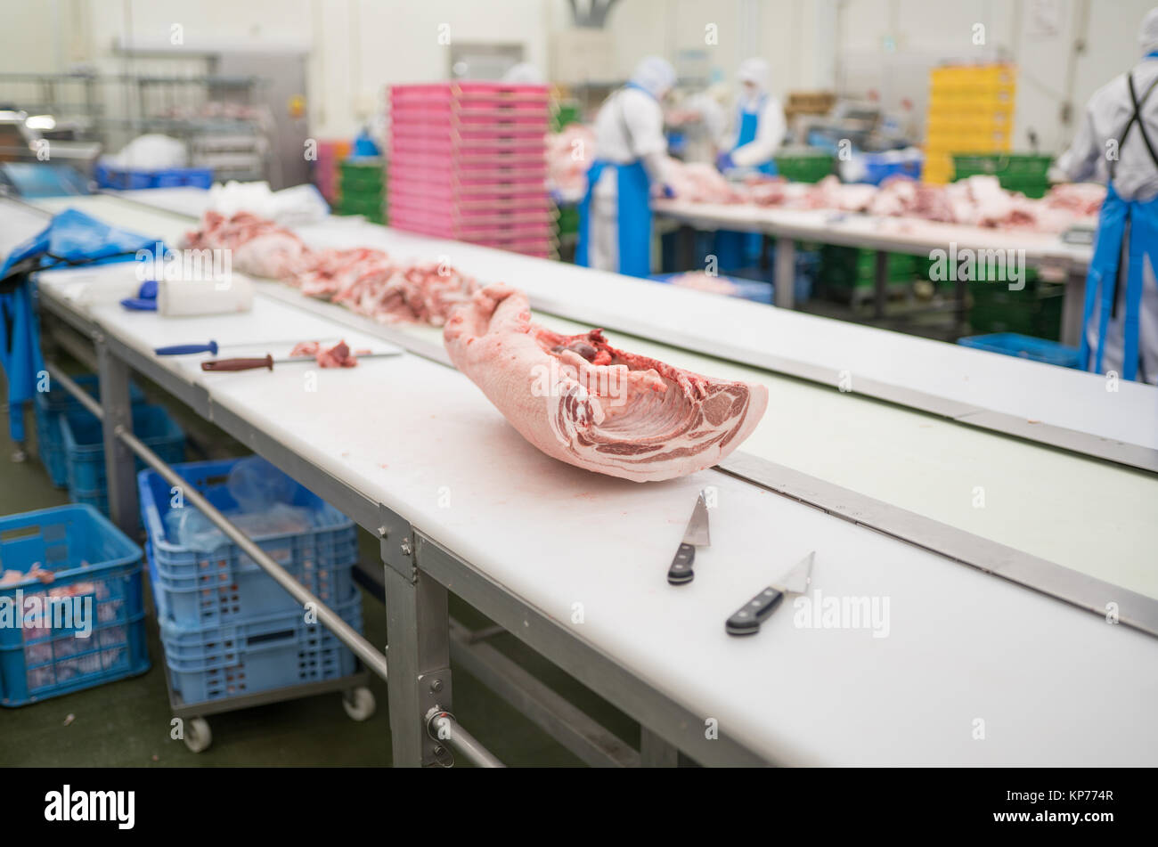 Pork being cut apart and prepared in a meat processing plant. Stock Photo