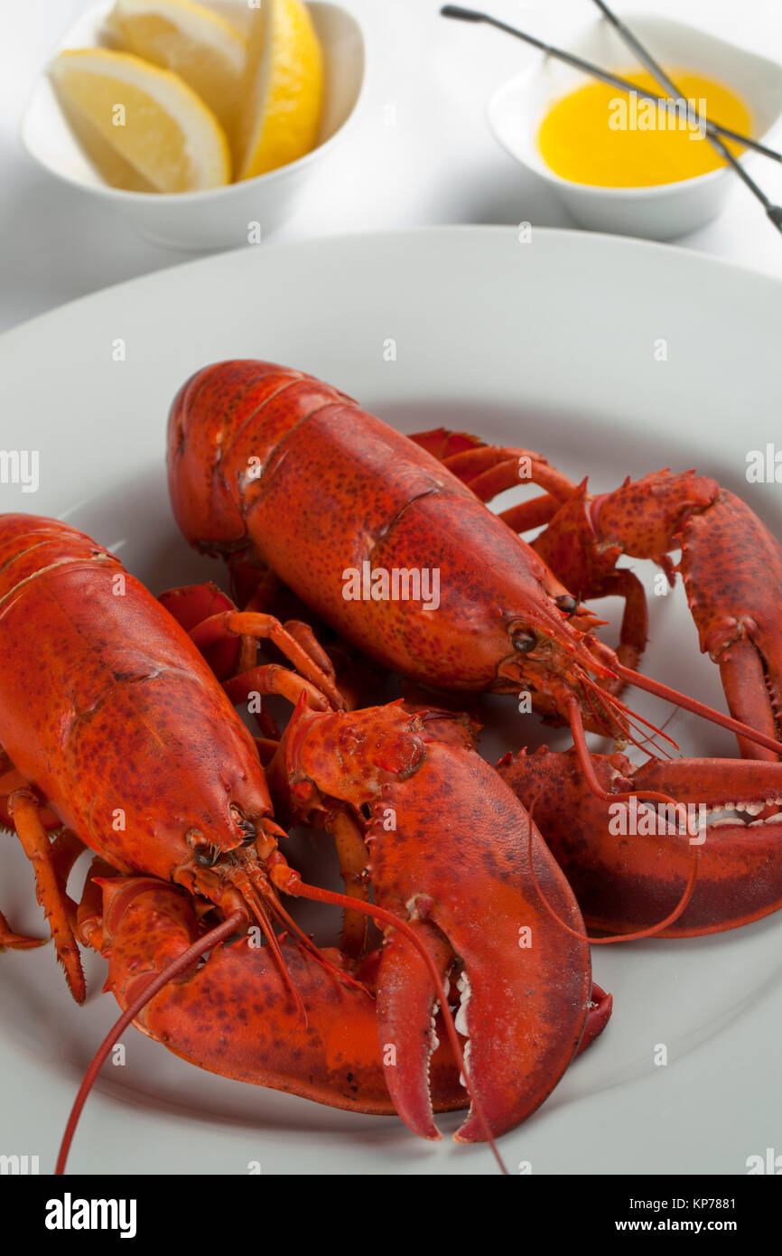 lobsters platter Stock Photo