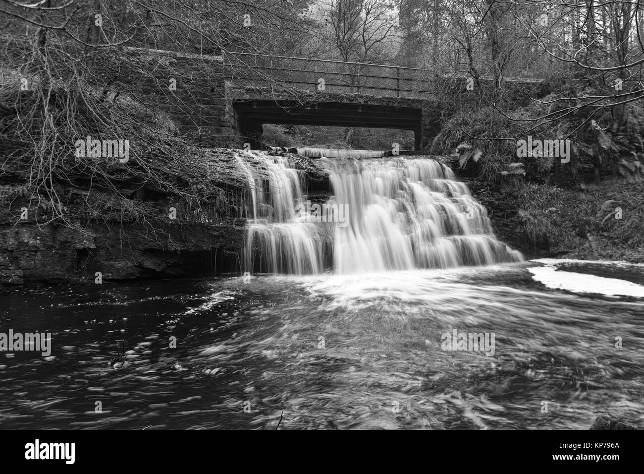 Blackling Hole Waterfall in full flow in Hamsterley forest in County Durham, North East England. Stock Photo