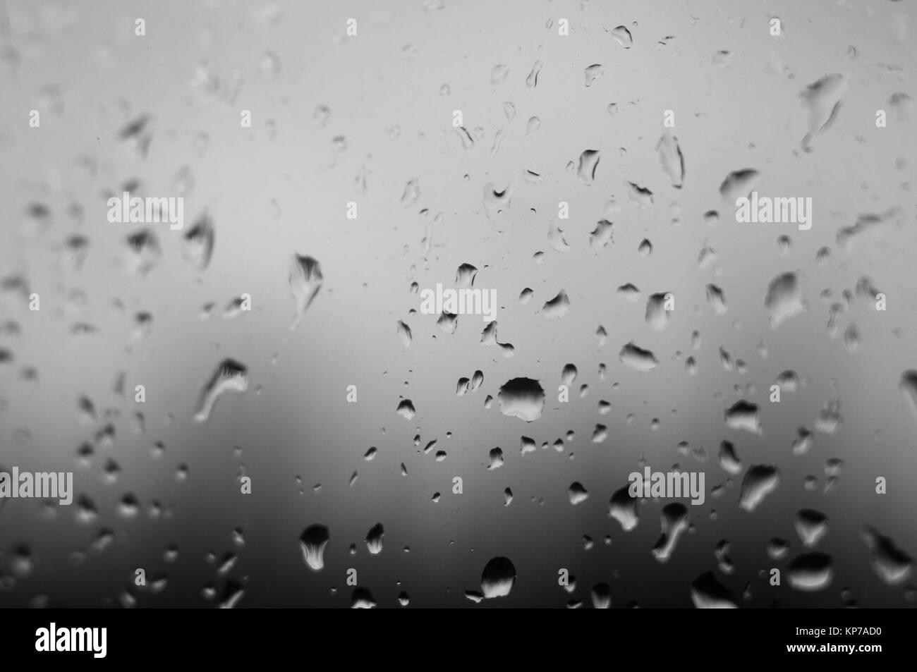 raindrops on the window glass, close up Stock Photo