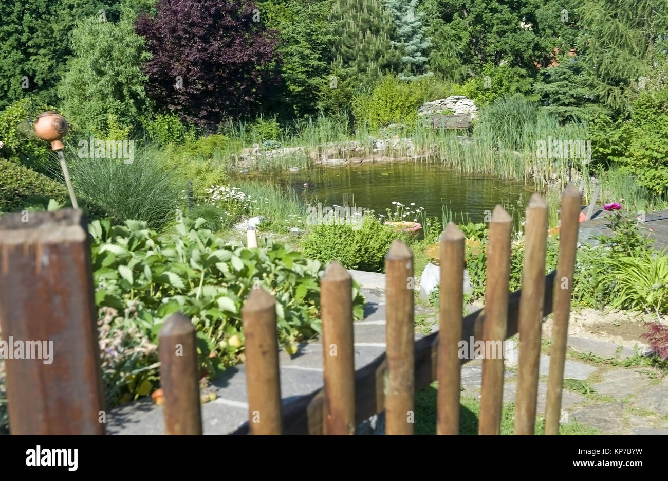 Gartenteich - pond Stock Photo