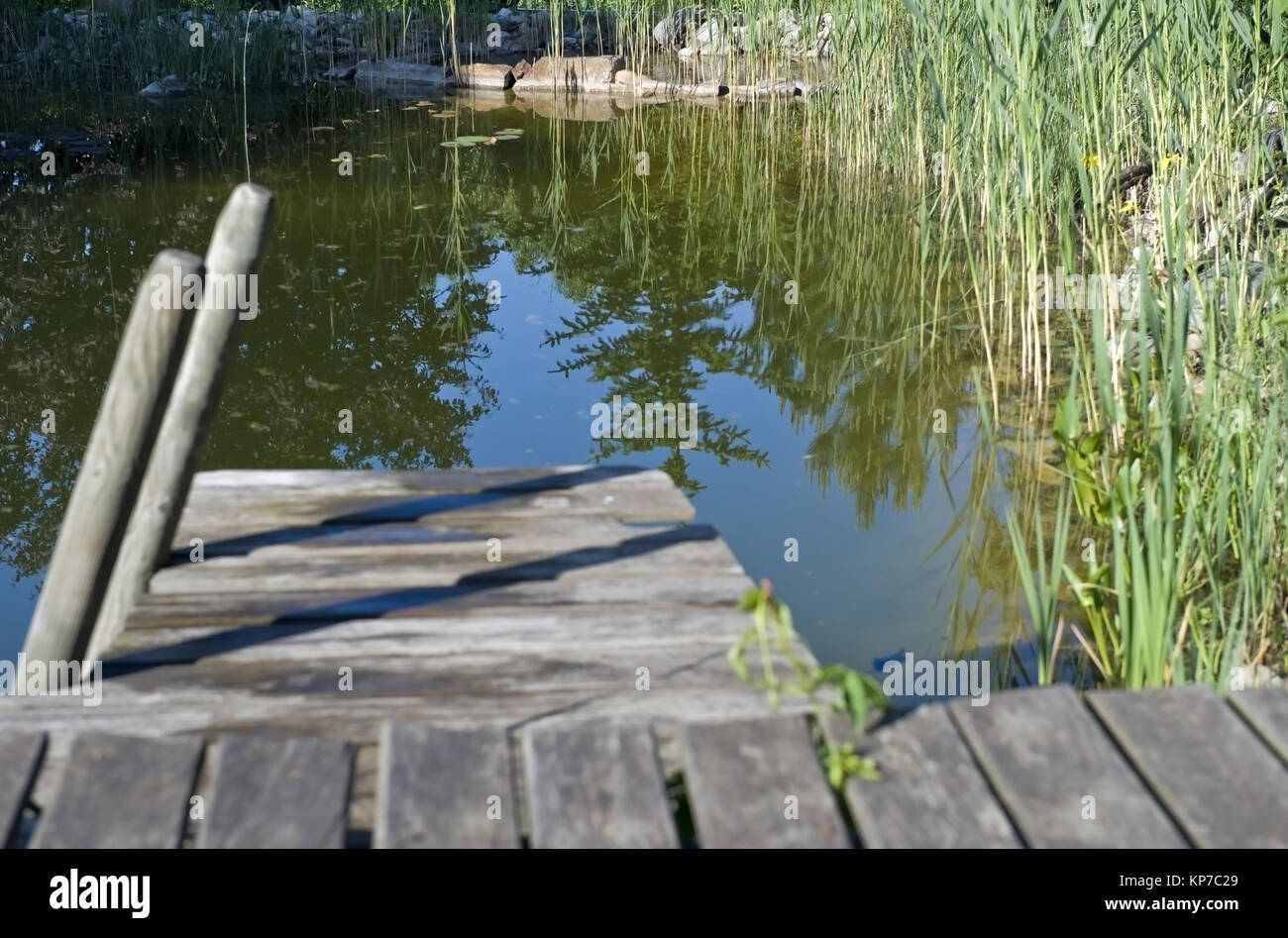 Holzsteg am Gartenteich - wood walk at pond Stock Photo