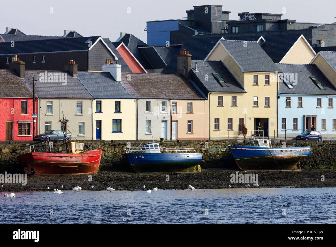 View of the houses where the bay meets the River Corrib, Galway