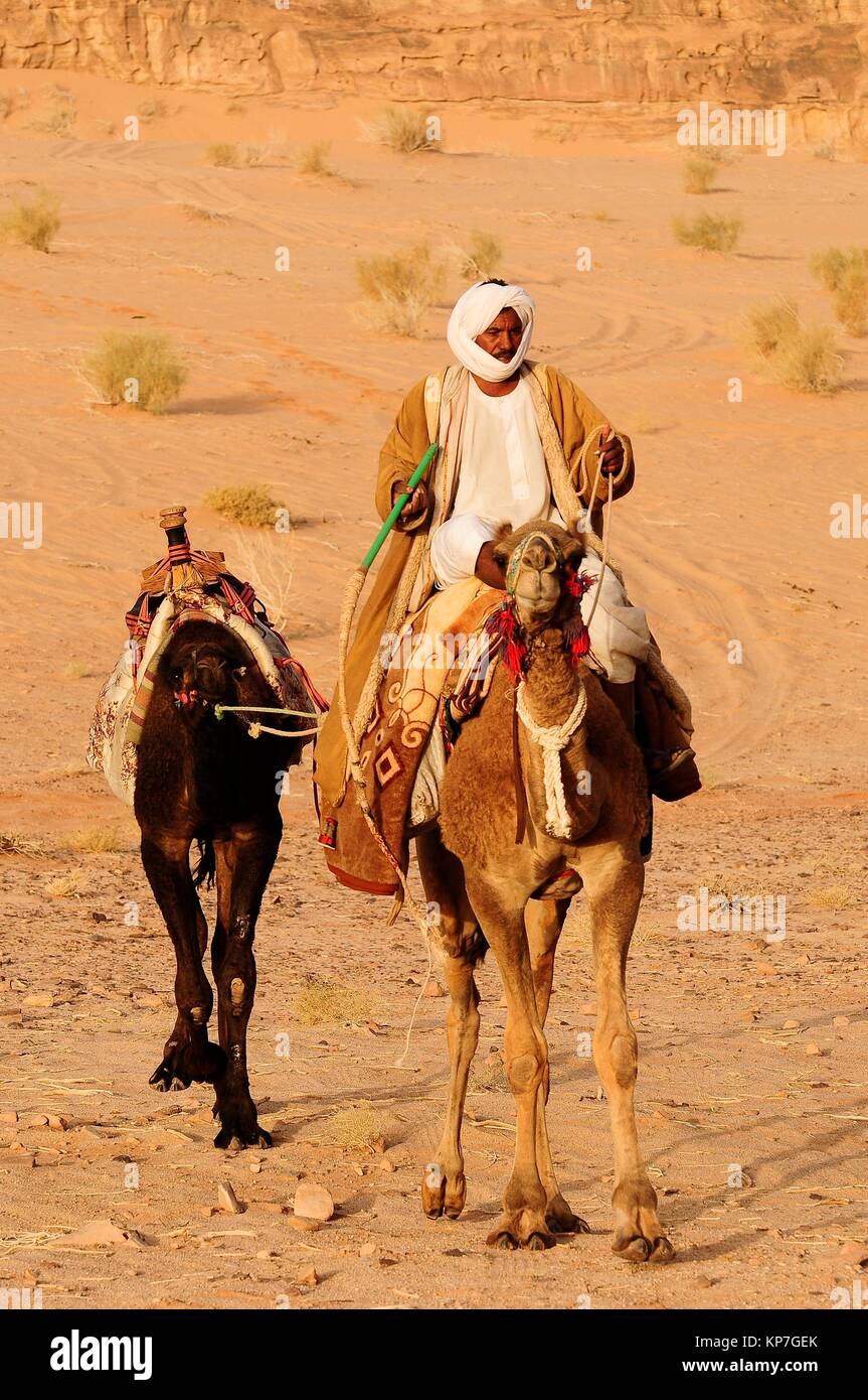 A beduin man with his camels, Wadi Rum desert, Jordan, Middle East Stock  Photo - Alamy