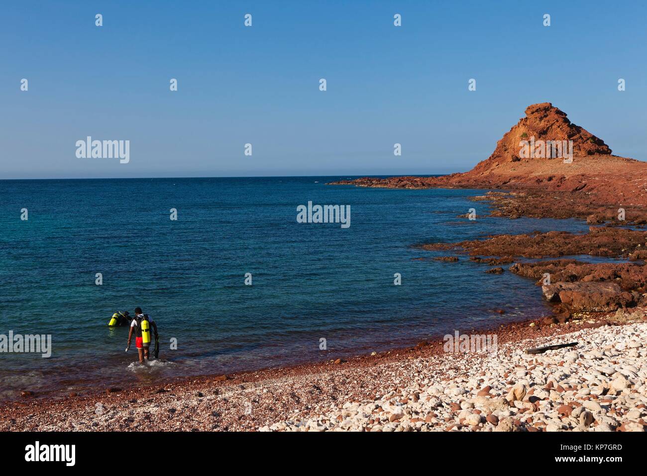 Scuba divers, Ras Dihamri Marine Reserve, Socotra island, listed as World Heritage by UNESCO, Aden Governorate, Yemen, Arabia, West Asia. Stock Photo