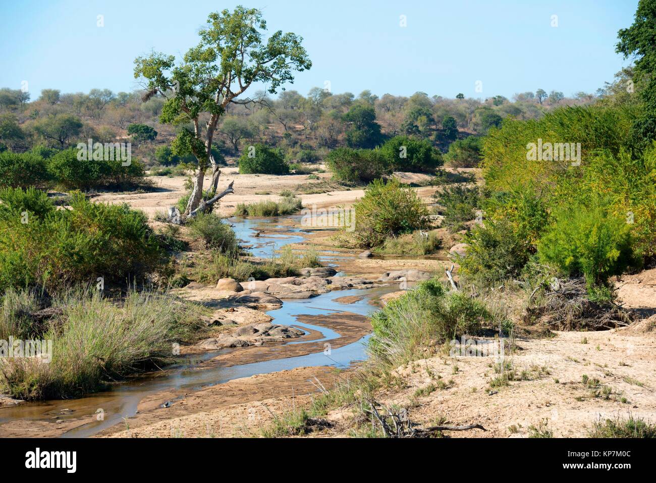 Transvaal South Africa Stock Photos Transvaal South Africa Stock 