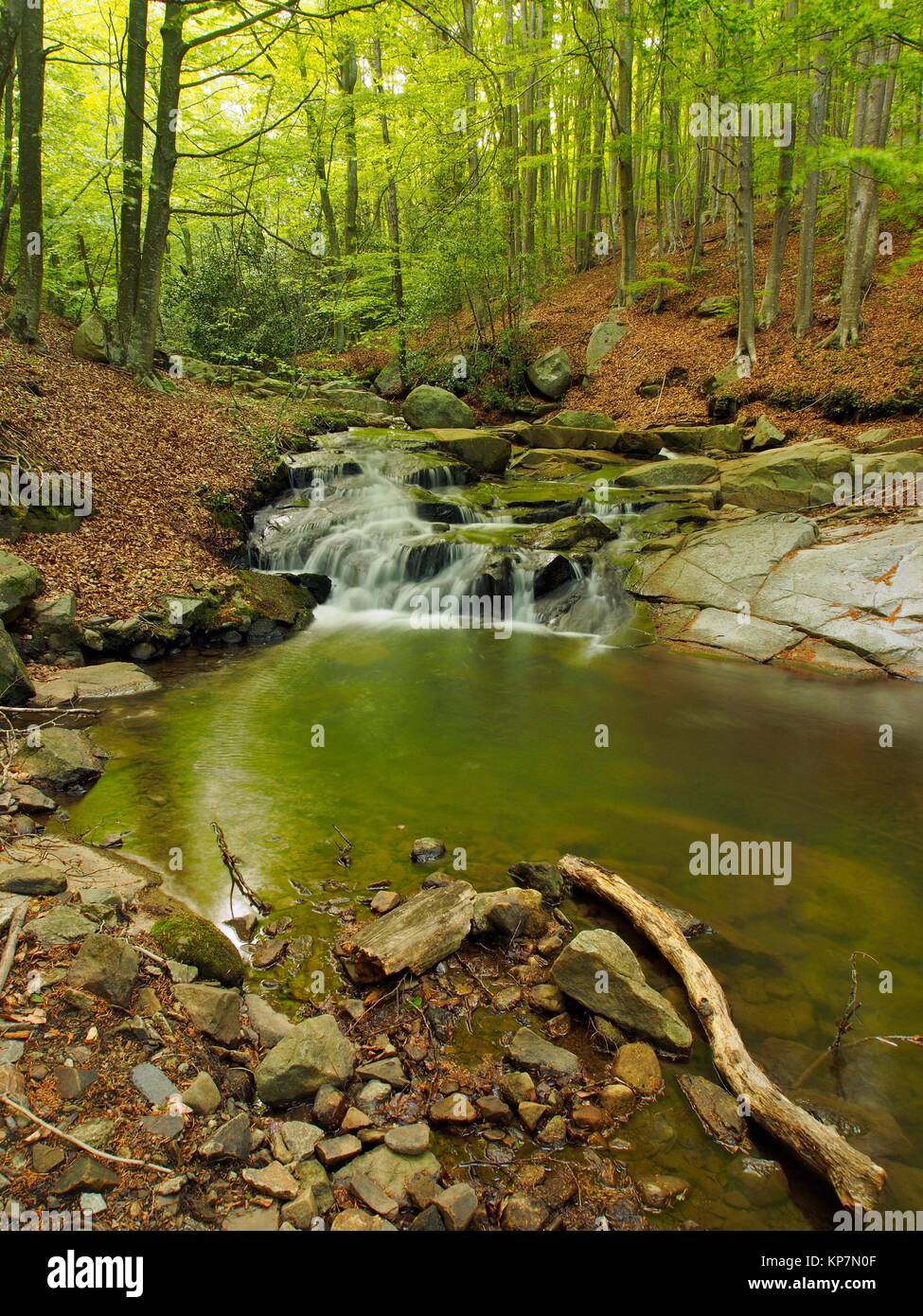 Small waterfalls at Gualba stream, below Santa Fe dam. Montseny Natural ...