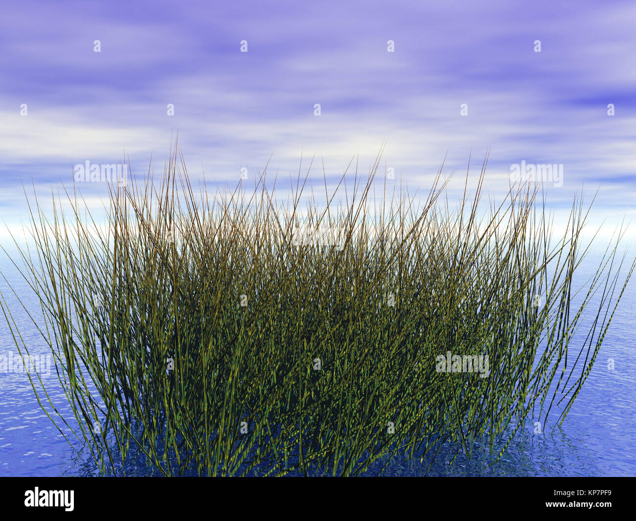shore-plants-in-water-stock-photo-alamy