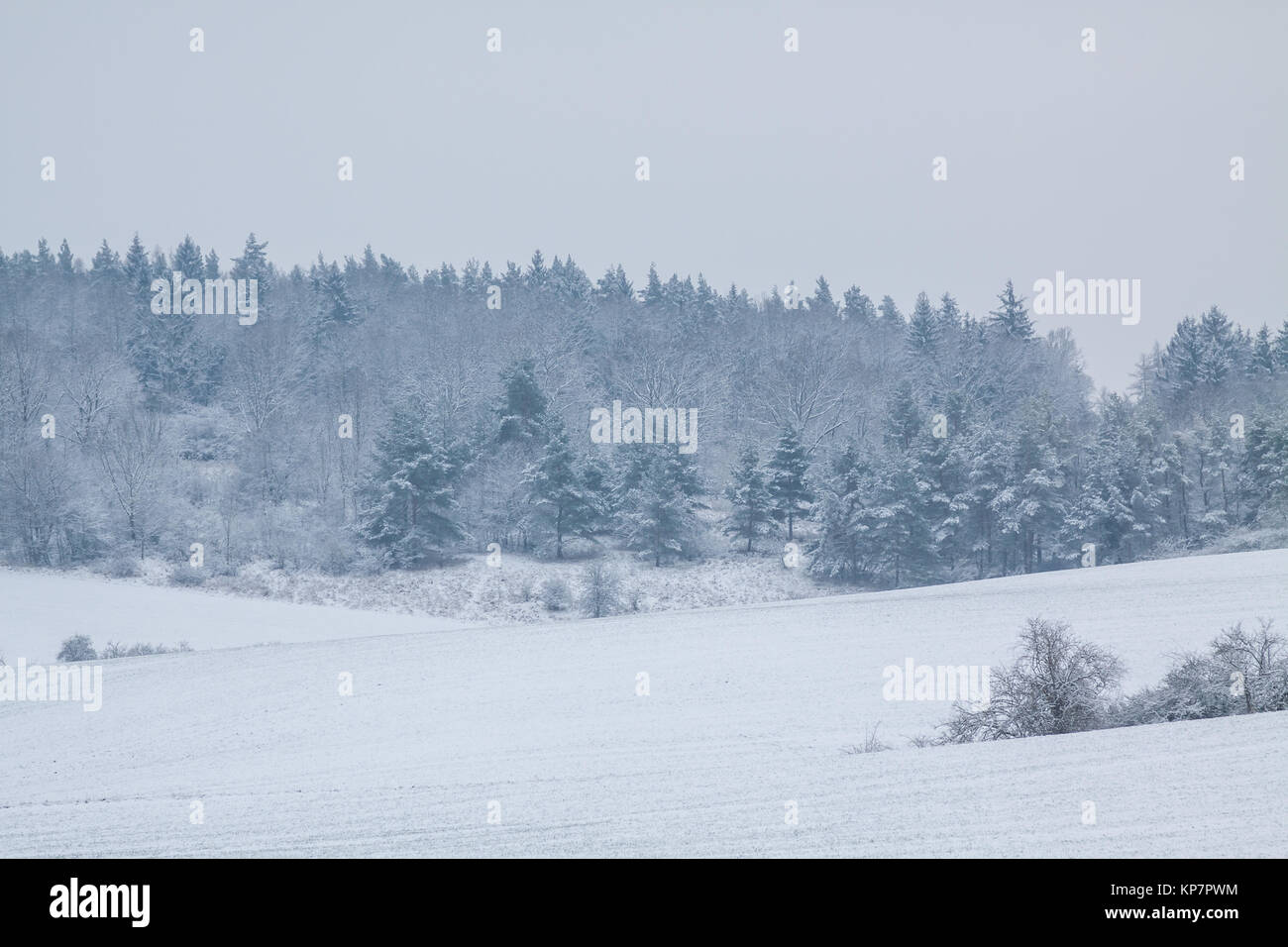 Wintery landscape Stock Photo