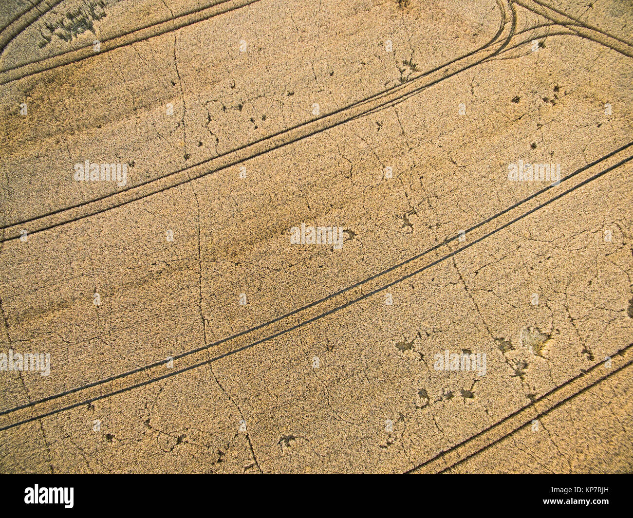 Farmland from above - aerial image of a lush green filed and a small ...