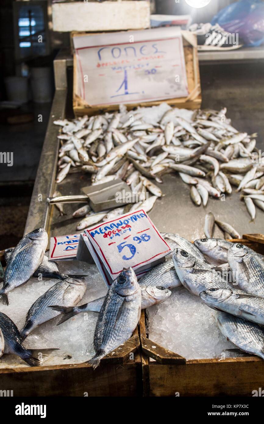 Meat and fish market in Athens, Greece where you can see the exposed meat and fish on the
