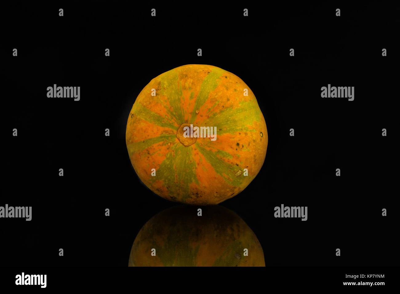 pumpkin against a black background Stock Photo - Alamy