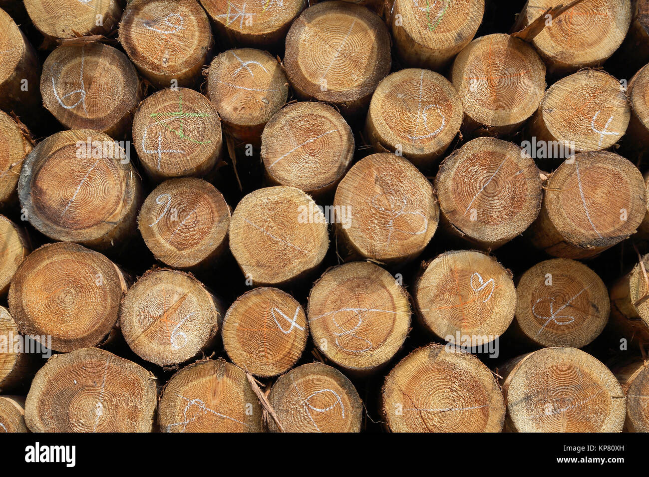 Stack of wood logs background Stock Photo - Alamy