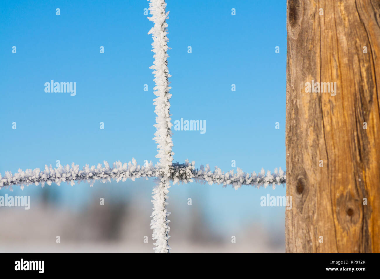 Close-up of a Fence Covered in Hoar Frost Stock Photo - Alamy