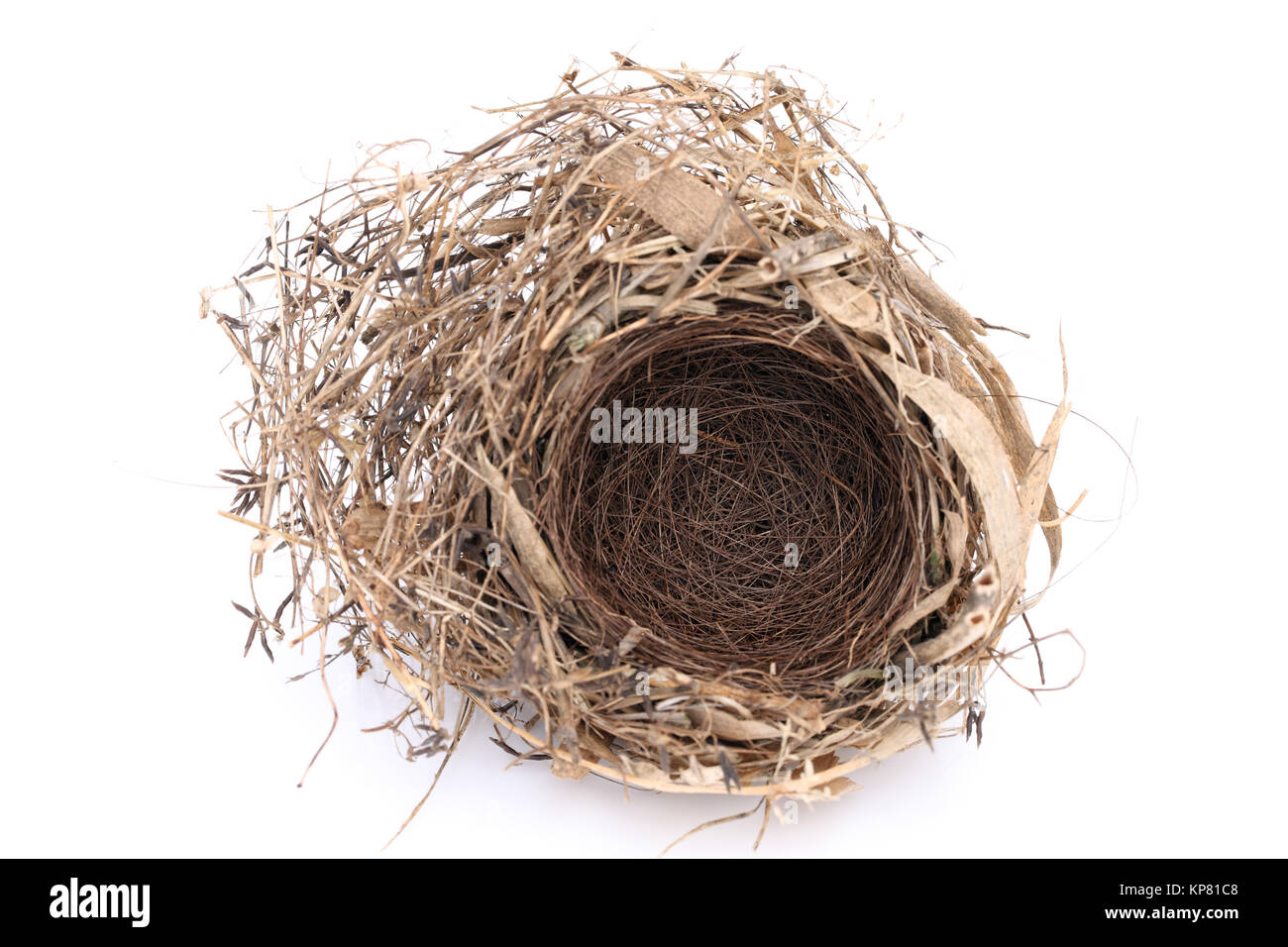 Detail of empty bird nest Stock Photo