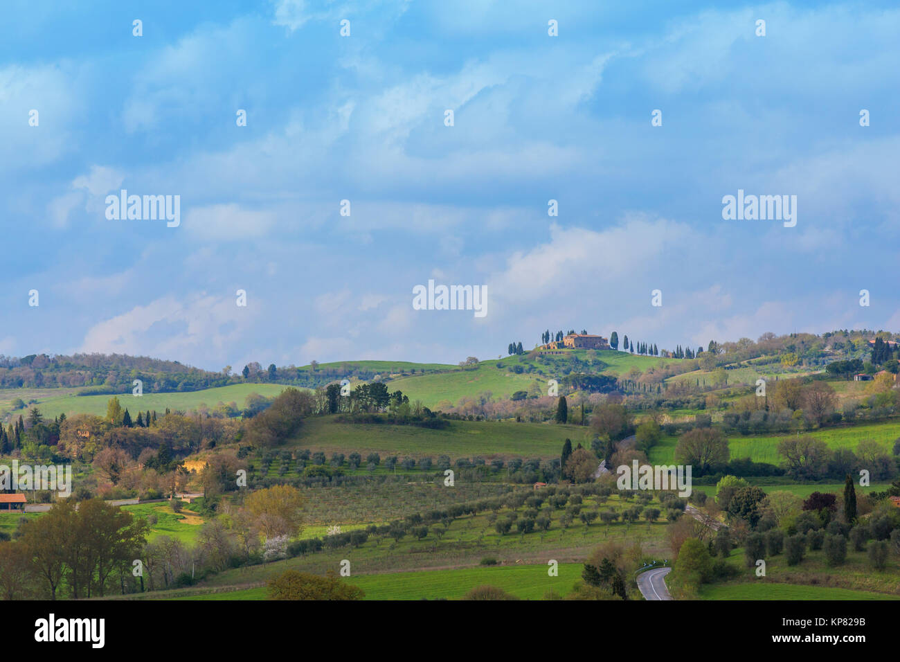 Typische Landschaft der Toskana mit Zypressen und Bauernhäusern Stock Photo