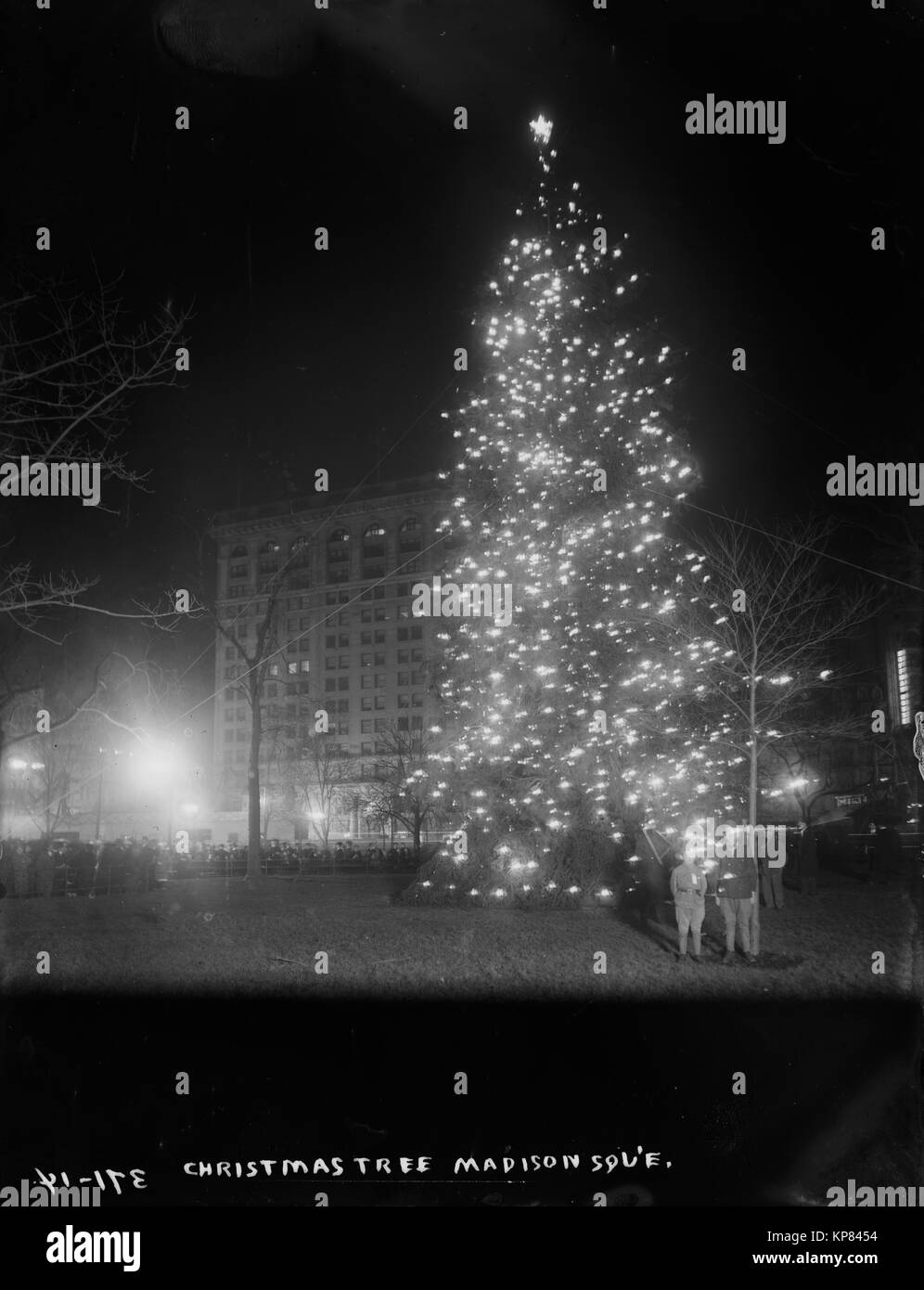 lit christmas tree in New York City's madison square park at night