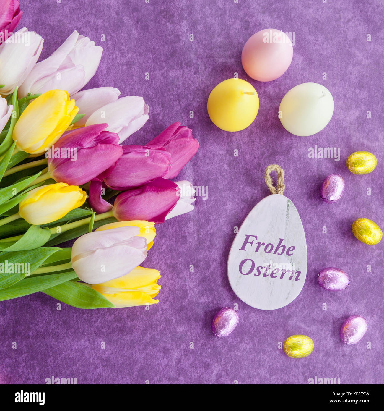 colorful tulips on purple Stock Photo