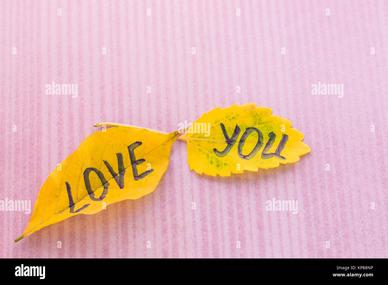 Yellow leaf with an inscription LOVE YOU on a pink white background ...