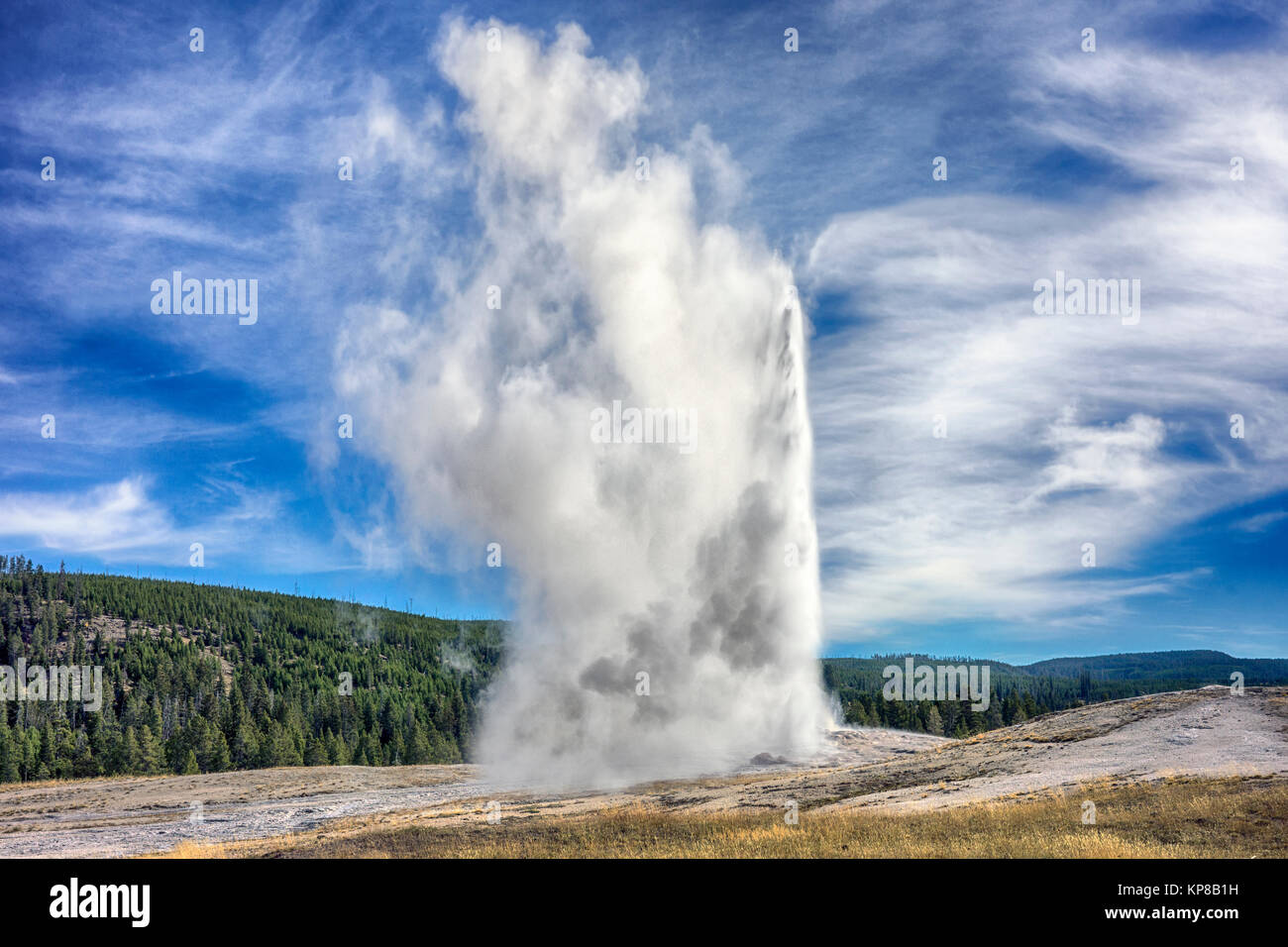 Yellowstone National Park, Wyoming, USA. Old Faithful Geyser, it erupts on a regular, approximately hourly cycle. Height 106-185 feet, 32-56 metres. Stock Photo