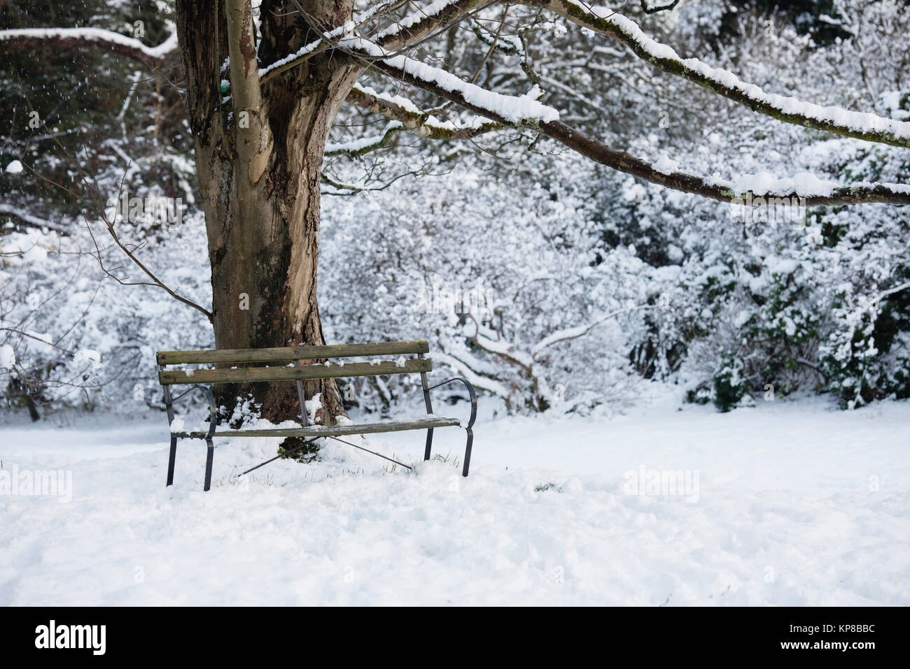 Old Garden Bench In A Snow Covered Garden Stock Photo 168600304