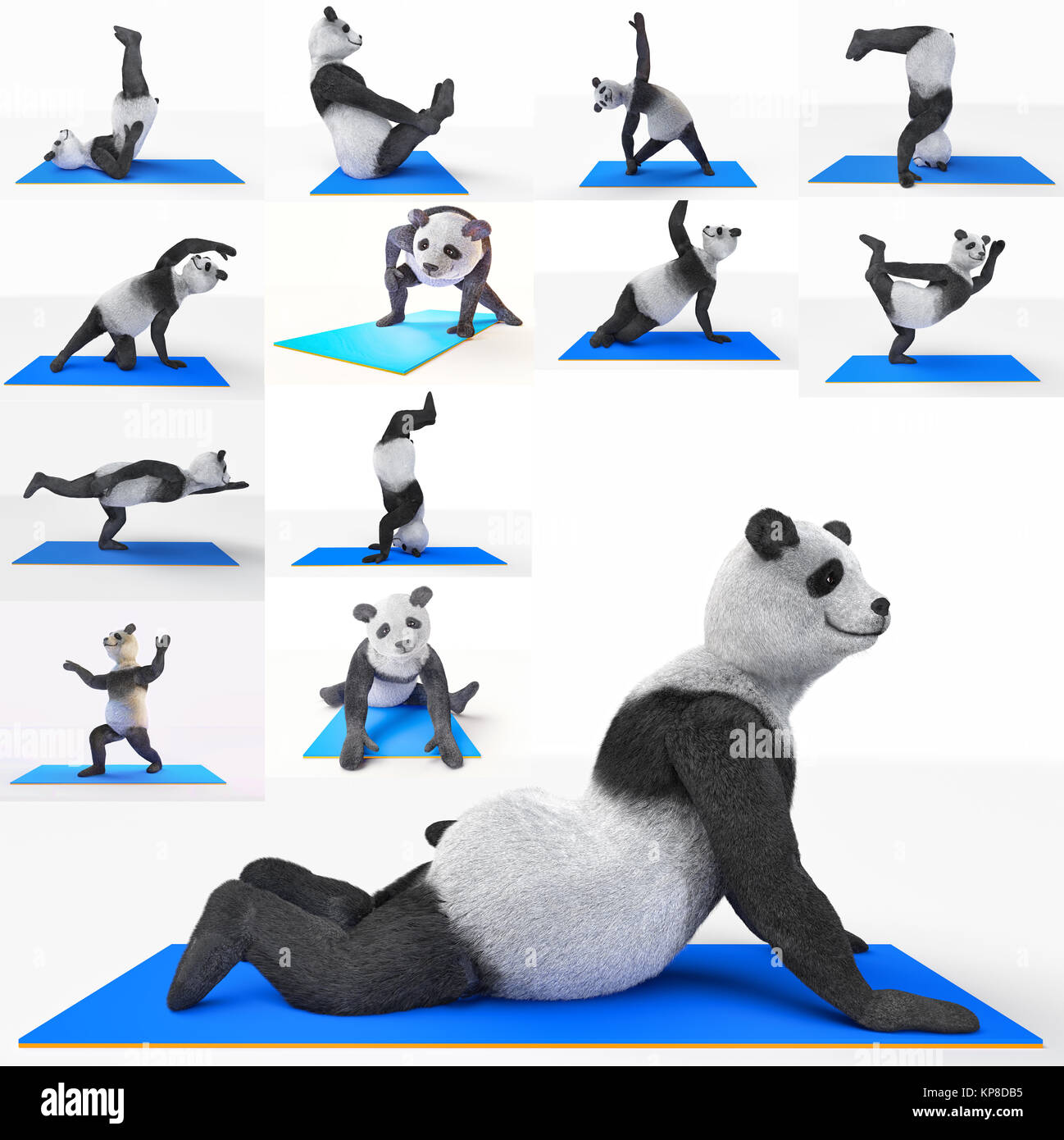 https://c8.alamy.com/comp/KP8DB5/yoga-animal-sport-panda-training-excersice-set-KP8DB5.jpg