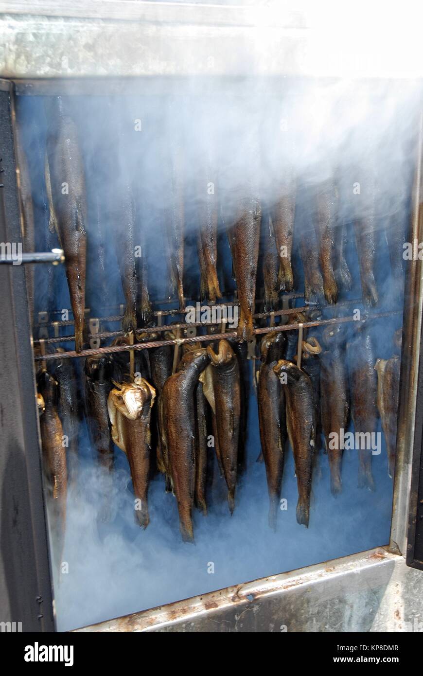 Fish in a smoking smoker Stock Photo Alamy