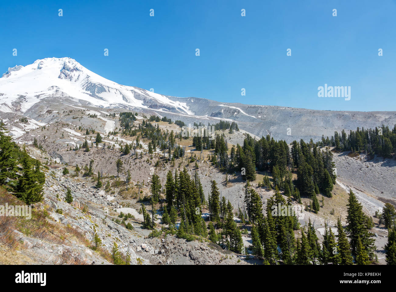 Mt Hood Peak View Stock Photo Alamy
