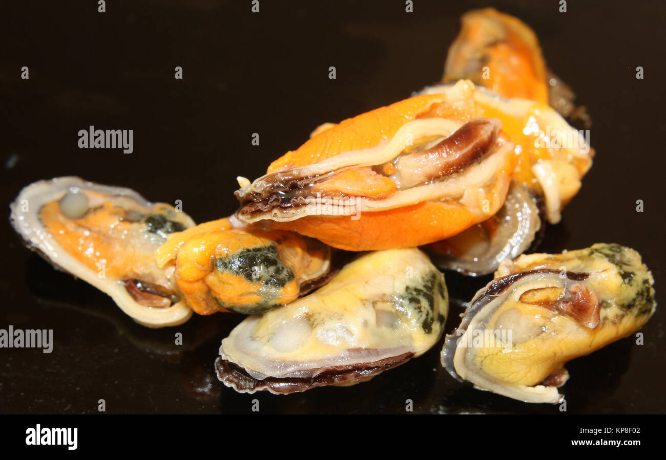 perna veridis green shell mussel Stock Photo