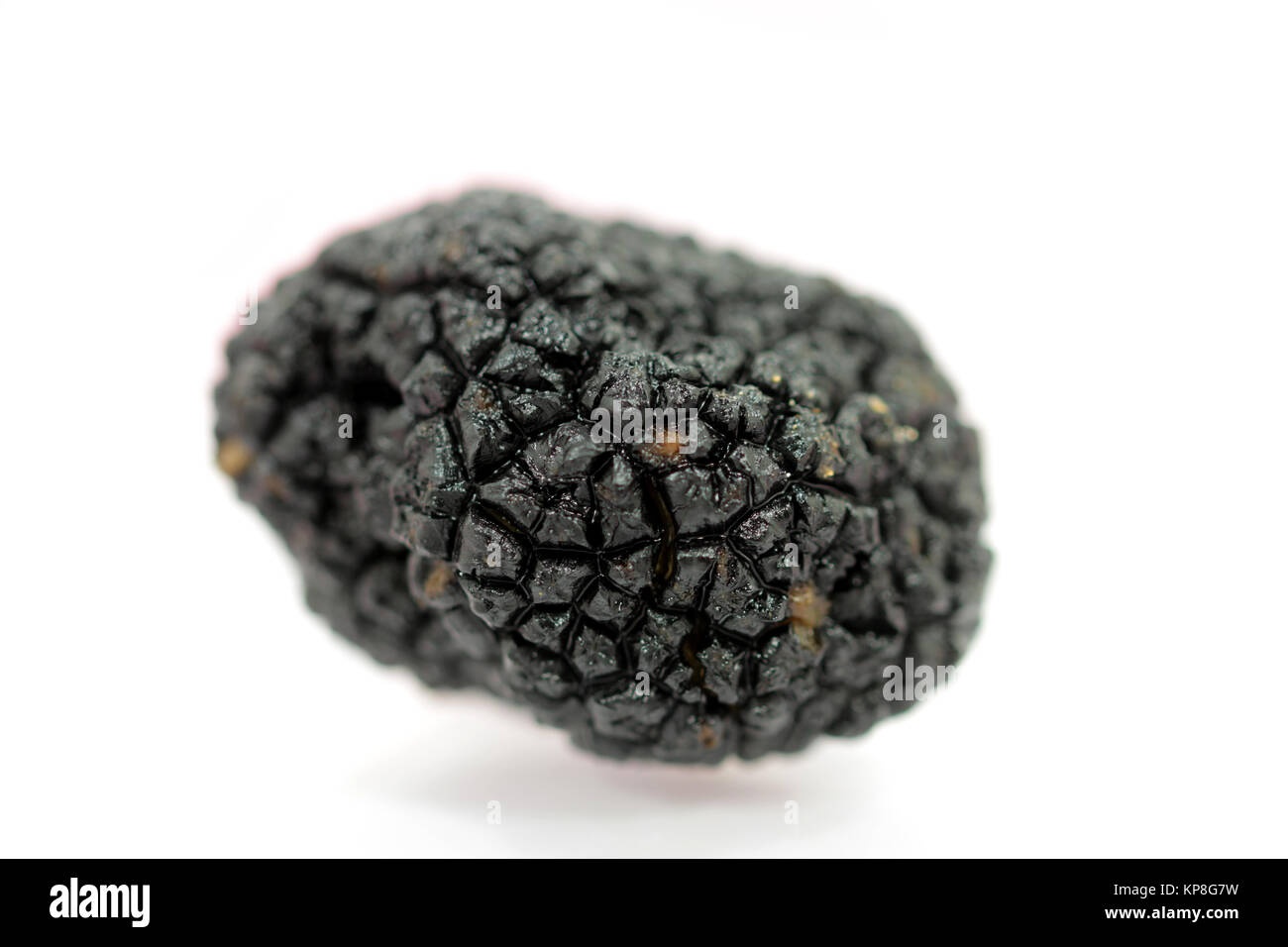 Â truffle Stock Photo