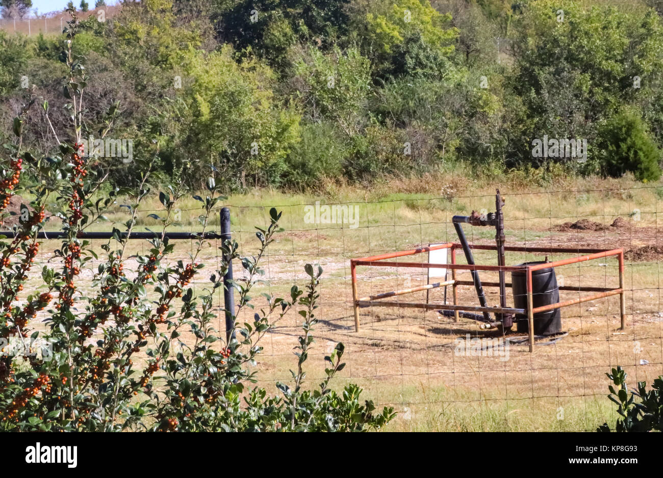 Capped off wellhead of oil well that is no longer producng against scrub oak and behind a wire fence Stock Photo