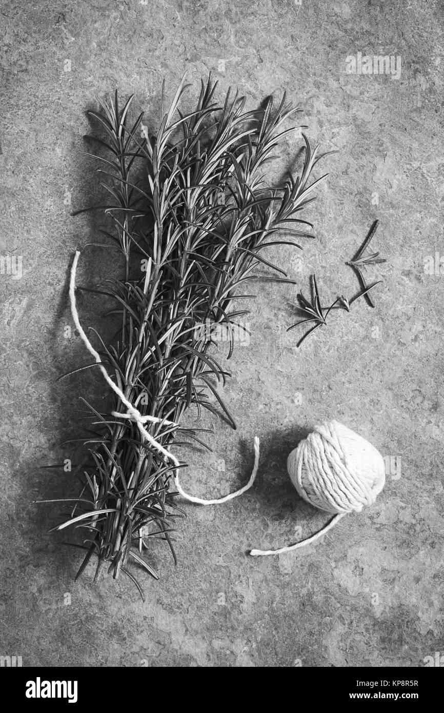 Rosemary rosmarinus officinalis Black and White Stock Photos & Images