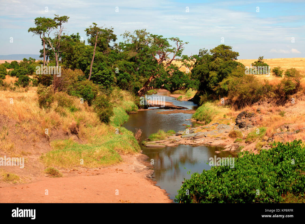 River in Masai Mara,River in Masai Mara,River in Masai Mara,River in Masai Mara Stock Photo
