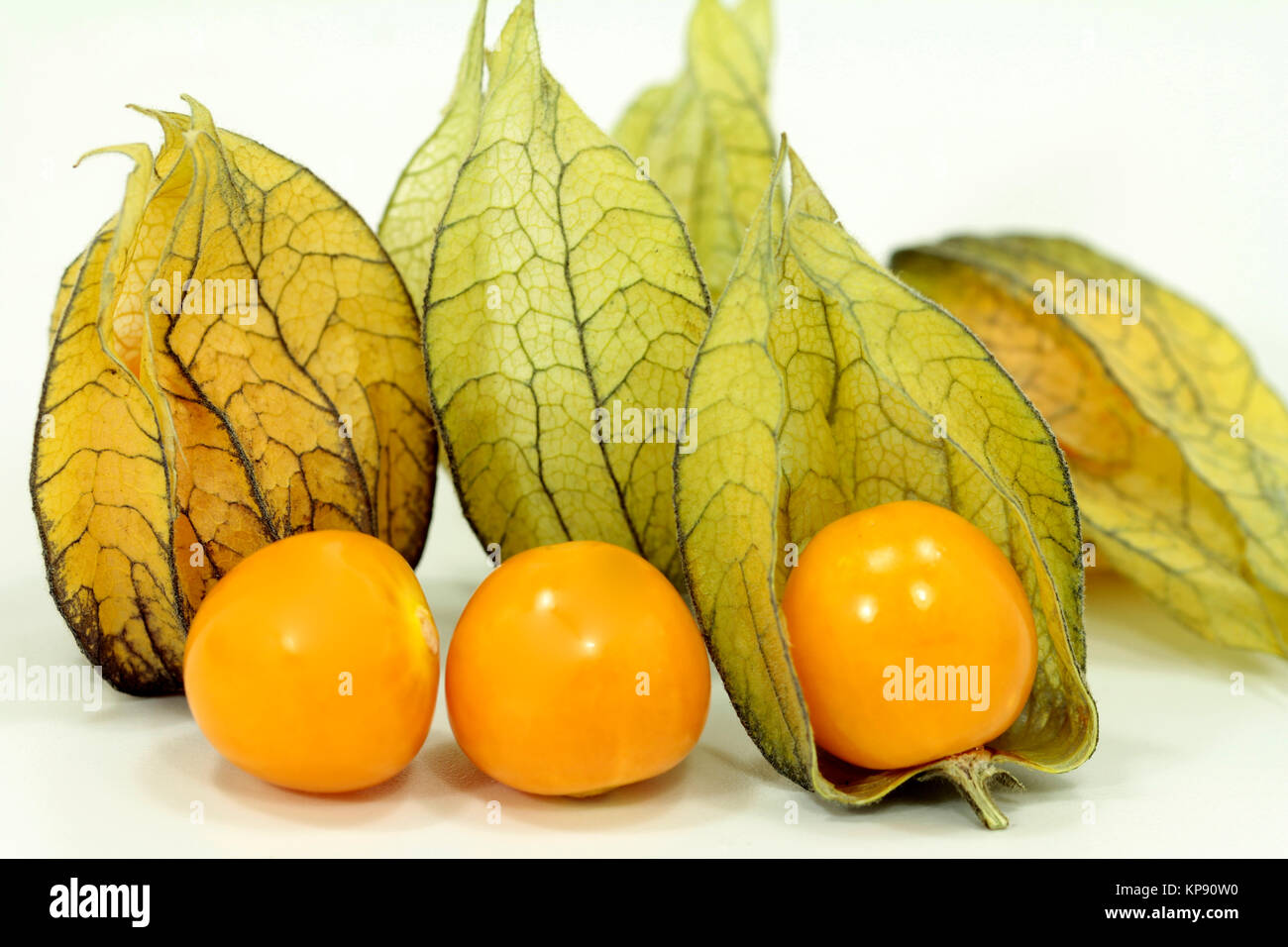 Lampion Fruit High Resolution Stock Photography and Images - Alamy
