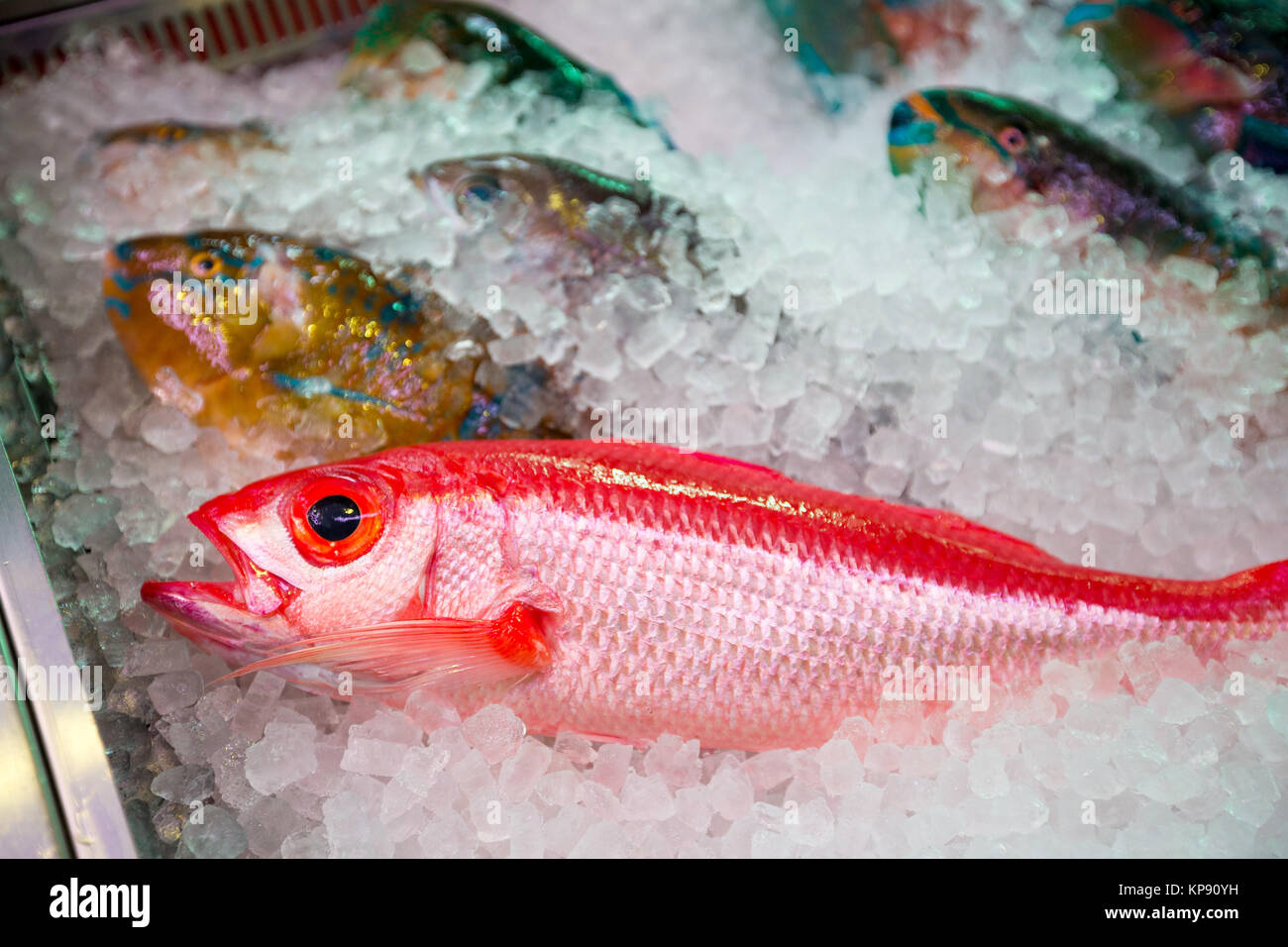 Fresh fish in wet market Stock Photo