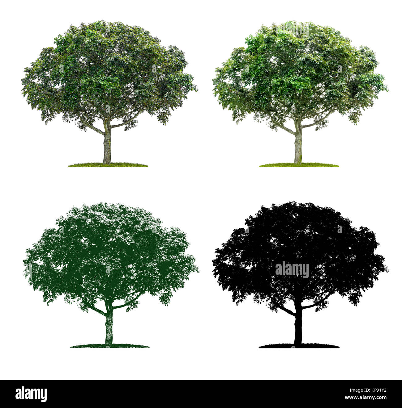Option tree. Option tree