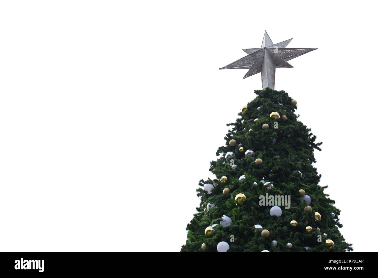 Christmas tree closeup top isolated on white background Stock Photo - Alamy